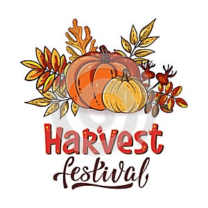 Harvest Festival hand drawn lettering text with autumn leaves and pumpkins