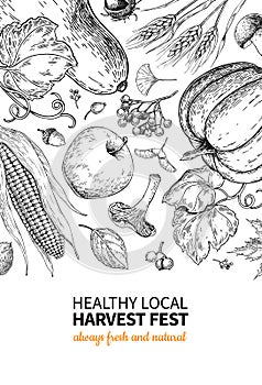 Harvest festival. Hand drawn vintage vector frame illustration with vegetables, fruits, leaves. Farm Market poster