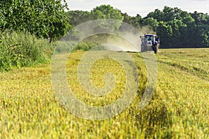Harvest, fields and meadows during harvest