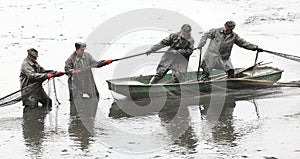 Harvest of fishpond.
