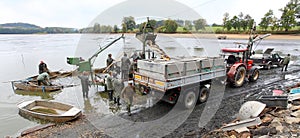 Harvest of fishpond.