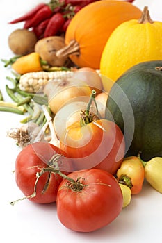 Harvest. Fresh ripe vegetables