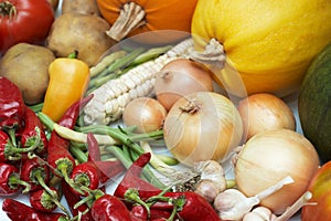 Harvest. Fresh ripe vegetables