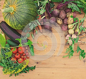 Harvest of fresh vegetables on wooden background. Top view. Potatoes, carrot, squash, peas, tomatoes
