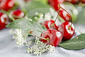 Harvest of freshly harvested sweet cherries close-up. Ripe red and black sweet berries from their own garden. Healthy sweet food