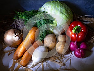 Harvest from the garden on the table. Farmer.Borsch set. Products from the garden. Still life of vegetables. Healthy food