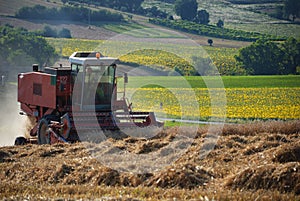 Harvest grain 3