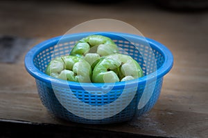 Harvest green Bell Fruit on plastic basket