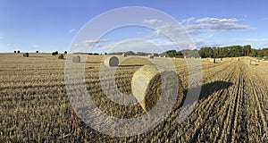 Harvest. Haystacks in the fields