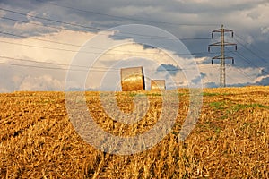 Harvest landscape