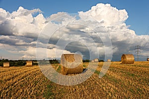 Harvest landscape