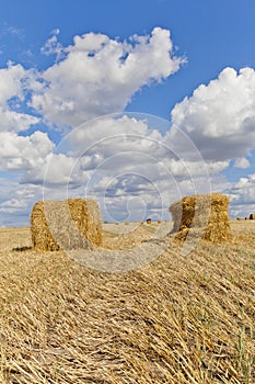 Harvest landscape with straw bales amongst fields in autumn