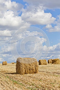 Harvest landscape with straw bales amongst fields in autumn