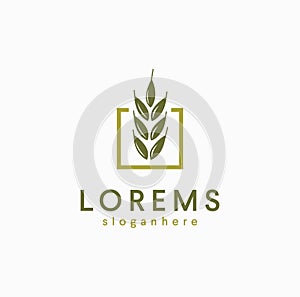 Harvest Logo Design Template Vector Stock. wheat Logo symbols Template icon design