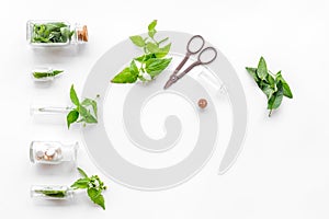 Harvest medicinal herb. Leaves, bottles and sciccors on white background top view copyspace
