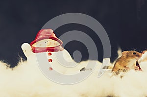 A Harvest Mouse Micro-Minutus sitting the snow by a snowman at Christmas, Aberdeenshire,Scotland,UK