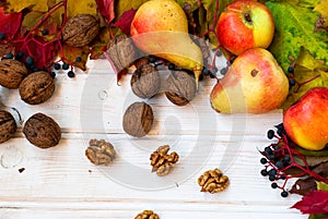 Harvest - nuts, apples, pears