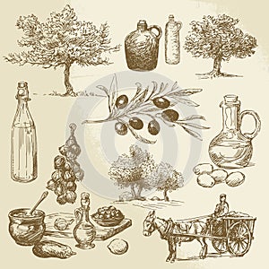 Harvest and olive product