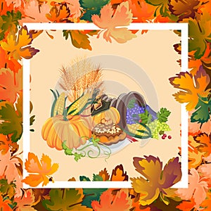 Harvest organic foods like fruit and vegetables, happy thanksgiving dinner card or banner background, harvesting vector