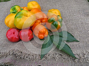 Harvest peppers on linen cloth