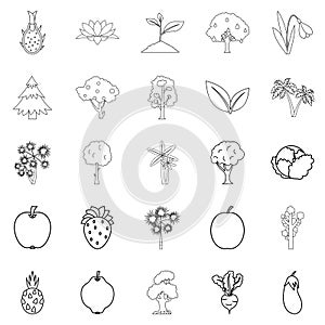 Harvest plants icons set, outline style