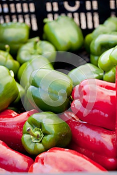 Harvest of red and green bell peppers