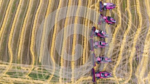 Harvest. Red harvesters work in the field. Aerial view of harvesting of wheat and agricultural machinery. Top view.