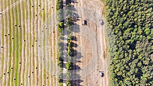 Harvest. Red harvesters work in the field. Aerial view of harvesting of wheat and agricultural machinery. Top view.