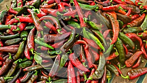 Harvest of red hot pepper lies on a pile. Organic vegetables. Autumn harvesting concept. Agriculture crops. Selective focus