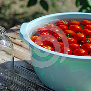 Harvest of red ripe tomatoes before winter preservation in glass jars
