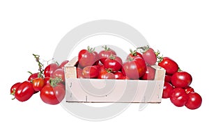 Harvest red ripe tomatoes in wooden box