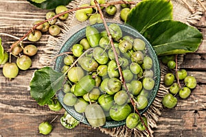 Harvest of ripe Actinidia arguta kiwi in a ceramic bowl