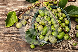 Harvest of ripe Actinidia arguta kiwi in a ceramic bowl