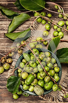 Harvest of ripe Actinidia arguta kiwi in a ceramic bowl