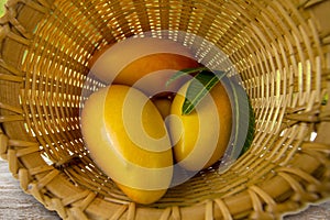 Harvest Ripe Mango put in wood basket with leaf