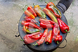 Harvest's Offering: Fresh Peppers Await the Flame