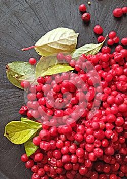 Harvest of schizandra berries on black background