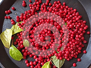 Harvest of schizandra berries on black background