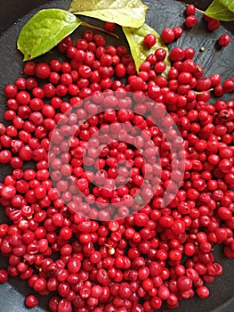 Harvest of schizandra berries on black background