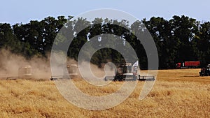 Harvest season, harvesting machinery in the field. Grain harvesters at work in slow motion video. Combine harvester with