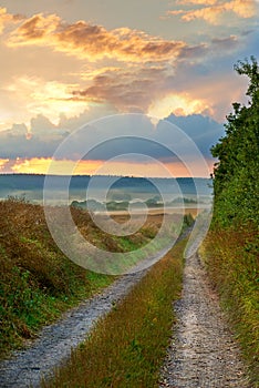 Harvest is soon to come. A series of photos of corn fields at sunset.