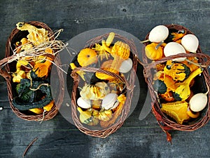 A harvest of Squashes and gourds