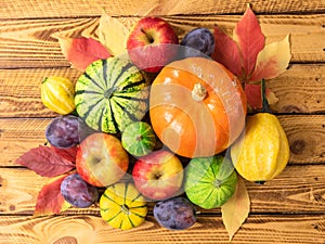 Harvest still life with pumpkins apples plums over wooden background