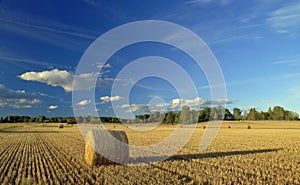 Harvest in Sweden