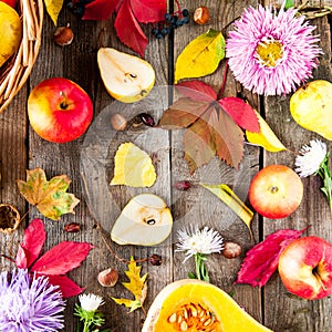 Harvest or Thanksgiving background with autumnal fruits, flowers, leaves, pumpkin, nuts and berries on the rustic wooden table. Au