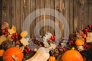 Harvest or Thanksgiving background with autumnal fruits and gourds on rustic wooden table