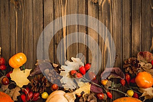 Harvest or Thanksgiving background with autumnal fruits and gourds on rustic wooden table