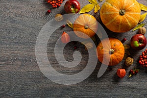 Harvest or Thanksgiving background with pumpkins and autumnal fruits on rustic wooden table. Flat lay, top view, copy space