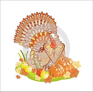 Harvest/Thanksgiving Turkey