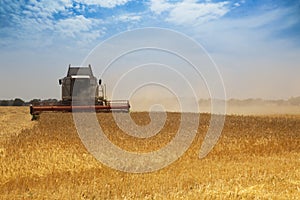 Harvest time photo